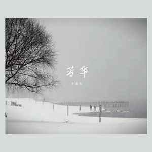 芳华