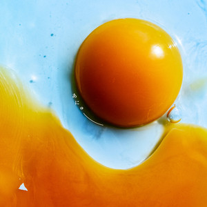 ワールドエンドガールフレンド