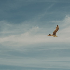 여생 Rest of our life