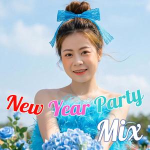 ช่วงเวลาหนึ่งของชีวิต (New Year Party Mix)