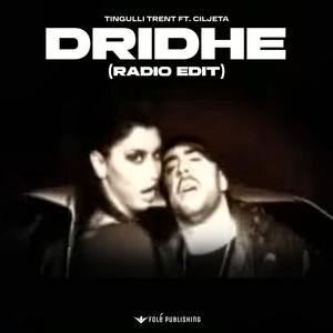 Dridhe (Radio Edit)