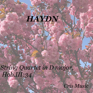Haydn: String Quartet in D major, Hob.III:34: III. Minuet. Allegretto alla zingarese - Trio