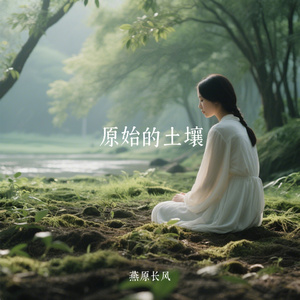 原始的土壤