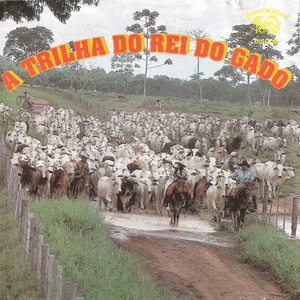 Só Depois da Novela