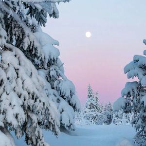 雪季【影视剧《宁安如梦》人物曲】