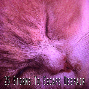 地平線上的風暴