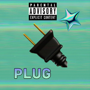 Plug