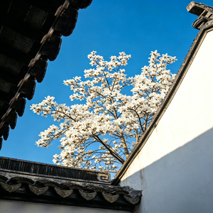 《雅痞的平楼》— 连麻 & 隼 Type Beat | 旋律说唱