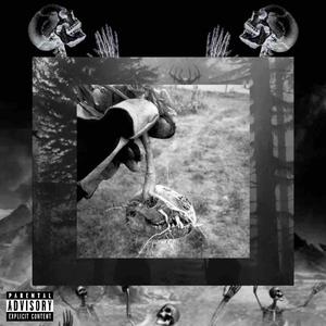 AVALANCHE! (feat. BLZRD)