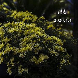 鲍正芳-凉凉电吉他（米乐 remix）