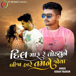 Dil Maru Re Todyu Bija Hare Tamne Joya (Remix)