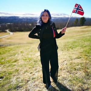 Ja, vi elsker dette landet