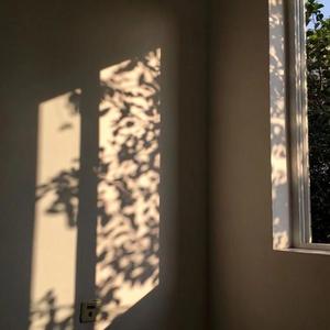 如今你依旧是我的光