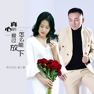 真心的爱过怎么能放下