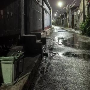 枫叶城   （capo fest 4）