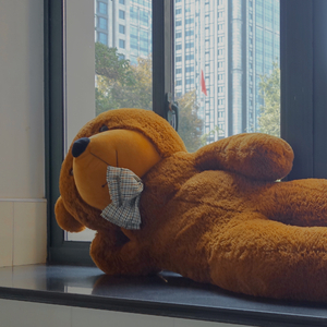 一起去花开的地方