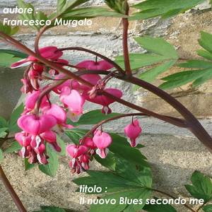 Il nuovo Blues secondo me