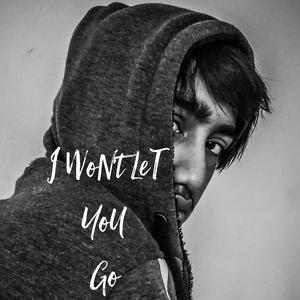 I Won't Let You Go