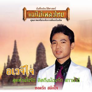 ไอ้หนุ่มรถบัส