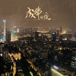 成都的夜