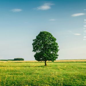 大雪封门时的炉火