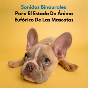 Mentes Zen Para Mascotas En Sonidos Binaurales