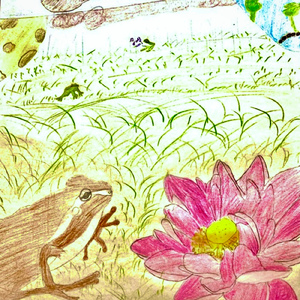 茶色のアマガエル