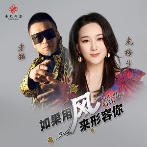 如果用风来形容你 (DJ沈念版)