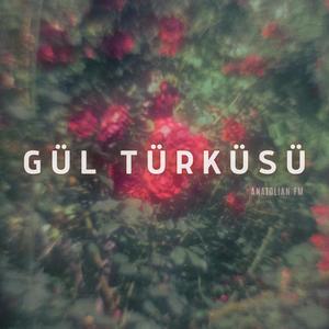 Gül Türküsü