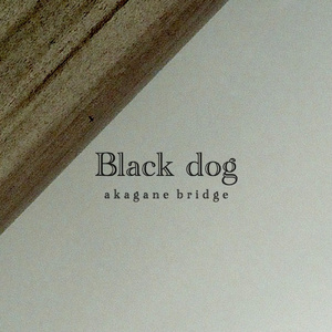 Black dog