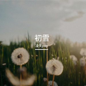 我希望今年比初雪先来的是你