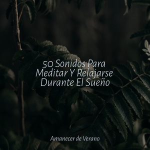 Melancólicas Mosaicos de la Vida