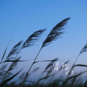 冒险