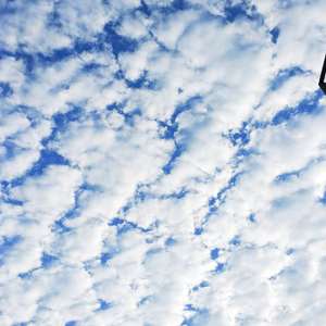 致我最爱的----父母