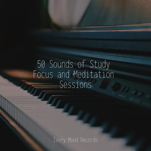 Midnight Melodies A Dreamer's Serenade