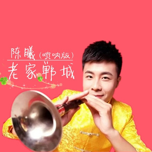 老家郸城 (唢呐版)