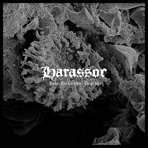 The Harassor