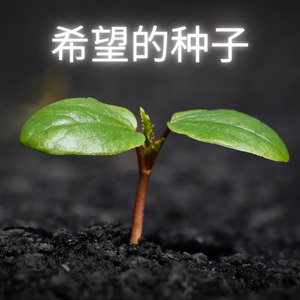 希望的种子