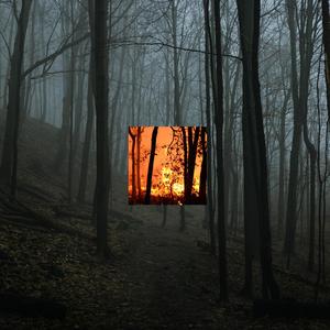 pari passo (feat. Skavo)