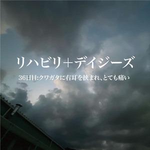 36日目:クワガタに右耳を挟まれ、とても痛い
