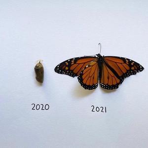 破茧成蝶（ Prod.Simon Marcus）