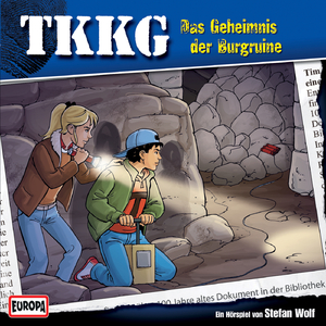 154 - Das Geheimnis der Burgruine (Teil 38)