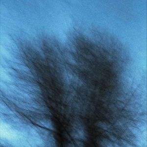 我怕你已走又怕你未至