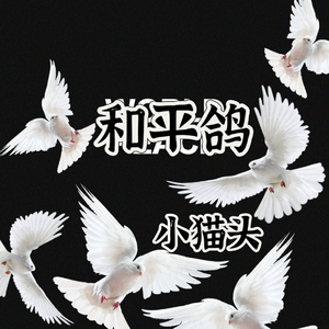 和平鸽