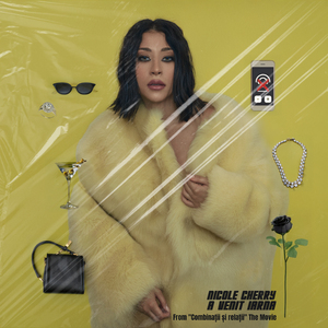 A venit iarna (From "Combinații Și Relații")