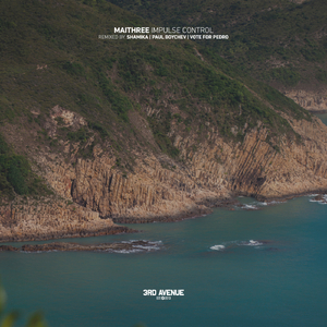 Impulse Control (Paul Boychev Remix)