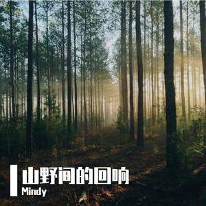 山野间的回响（v1)