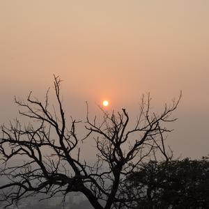 light of dawn