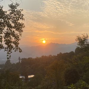 弹落一地细碎的月光