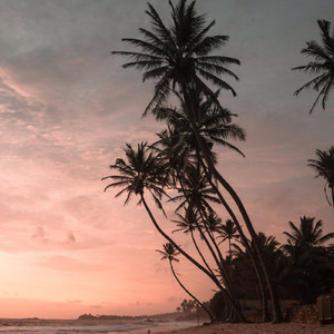 放过自己（解压纯音乐）